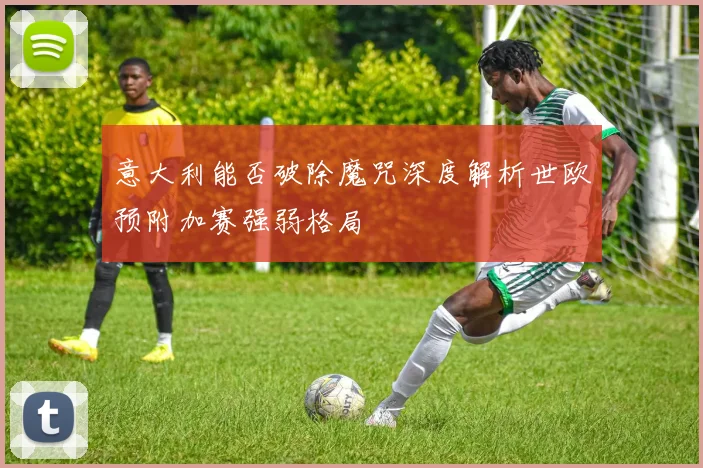 意大利能否破除魔咒深度解析世欧预附加赛强弱格局