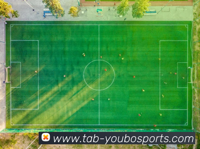 友博体育发展历程